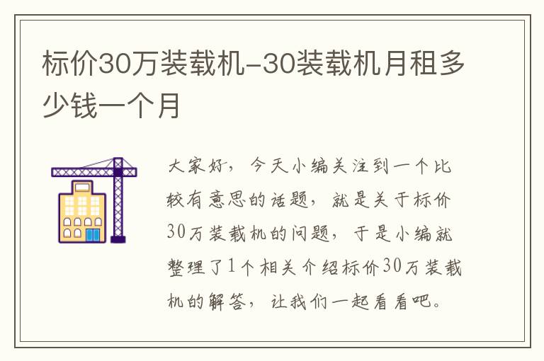 标价30万装载机-30装载机月租多少钱一个月