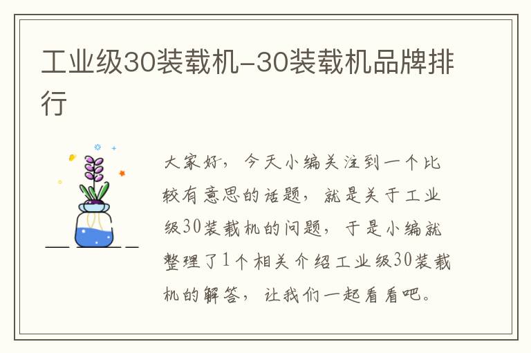 工业级30装载机-30装载机品牌排行