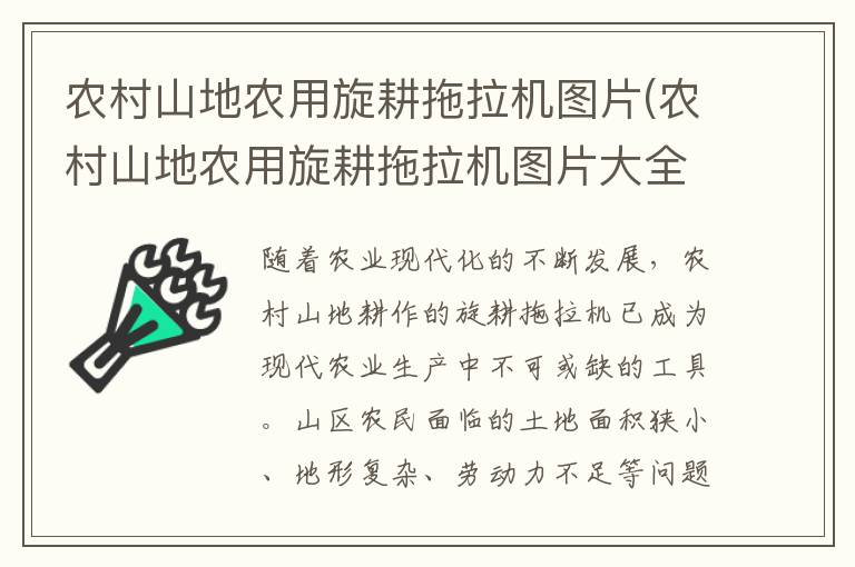 农村山地农用旋耕拖拉机图片(农村山地农用旋耕拖拉机图片大全)