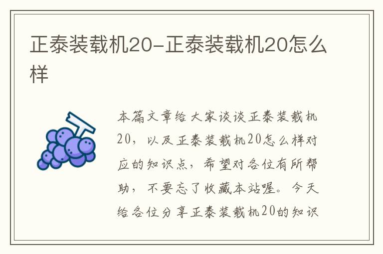 正泰装载机20-正泰装载机20怎么样