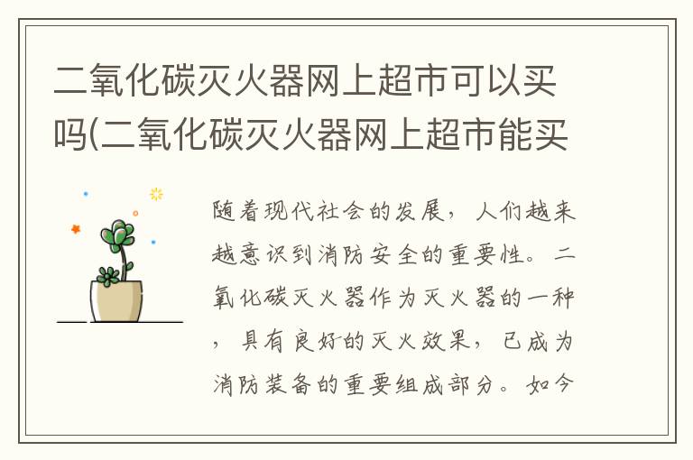 二氧化碳灭火器网上超市可以买吗(二氧化碳灭火器网上超市能买到吗)