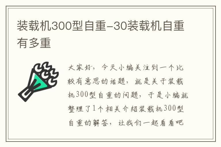 装载机300型自重-30装载机自重有多重