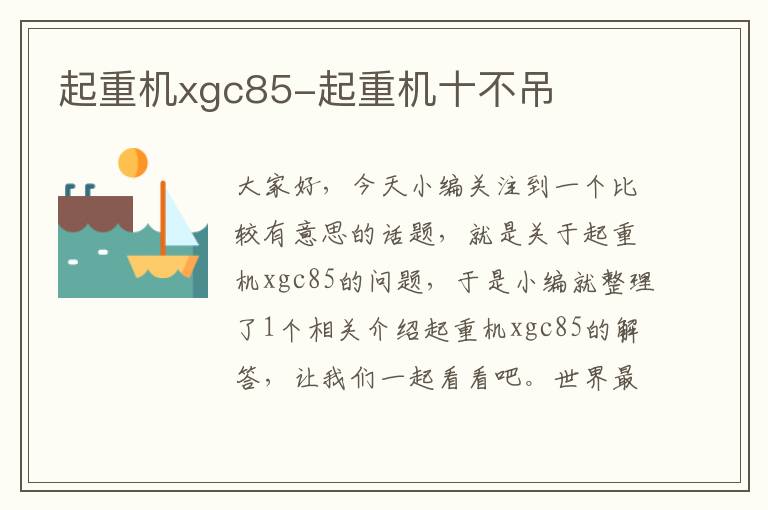 起重机xgc85-起重机十不吊