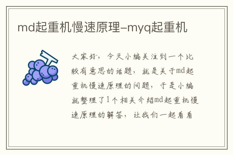 md起重机慢速原理-myq起重机