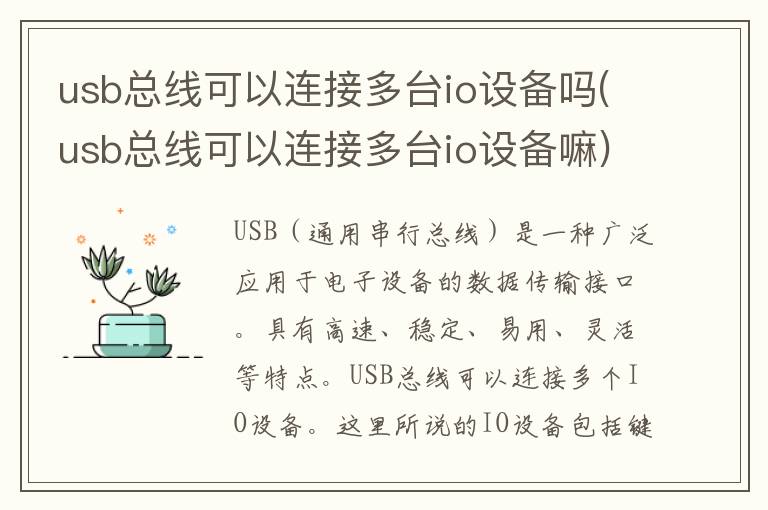 usb总线可以连接多台io设备吗(usb总线可以连接多台io设备嘛)