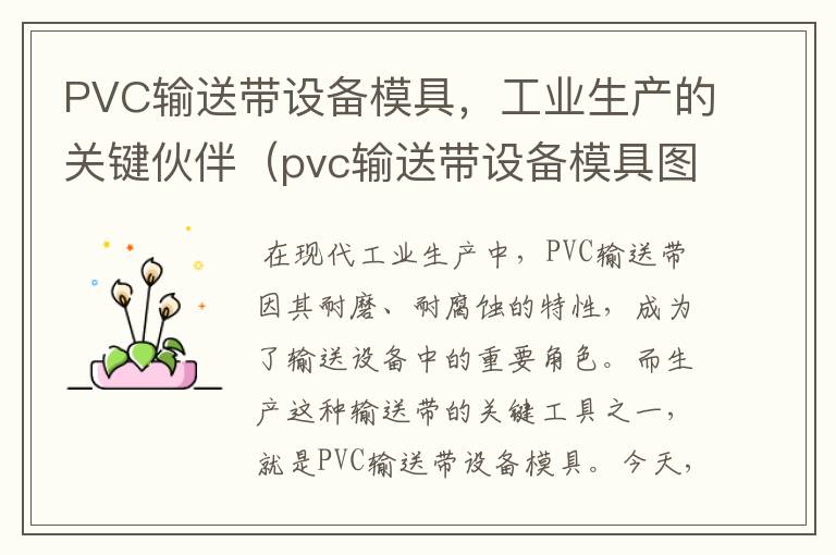 PVC输送带设备模具，工业生产的关键伙伴（pvc输送带设备模具图片）