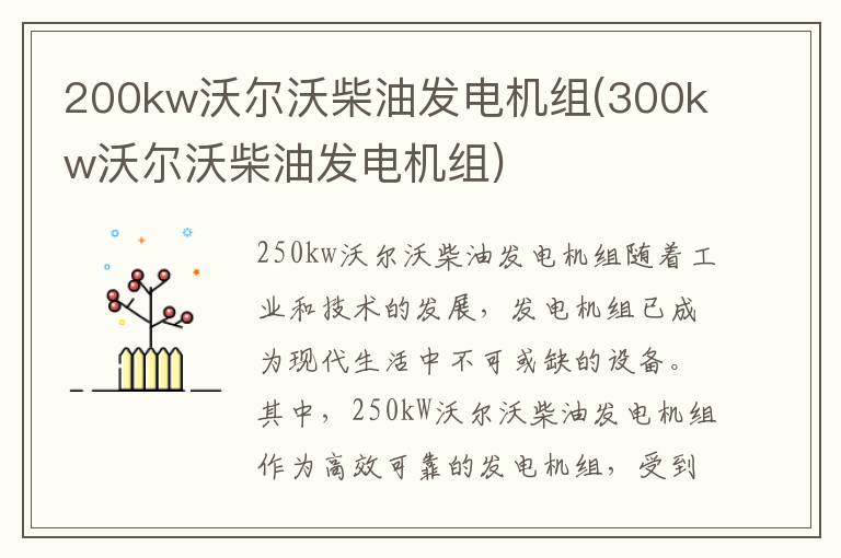 200kw沃尔沃柴油发电机组(300kw沃尔沃柴油发电机组)