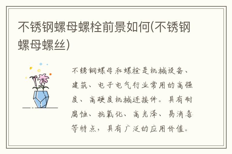 不锈钢螺母螺栓前景如何(不锈钢螺母螺丝)