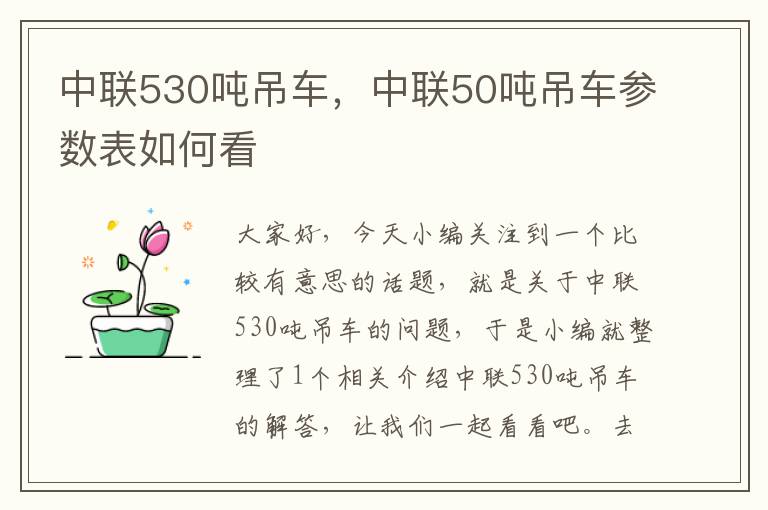 中联530吨吊车，中联50吨吊车参数表如何看