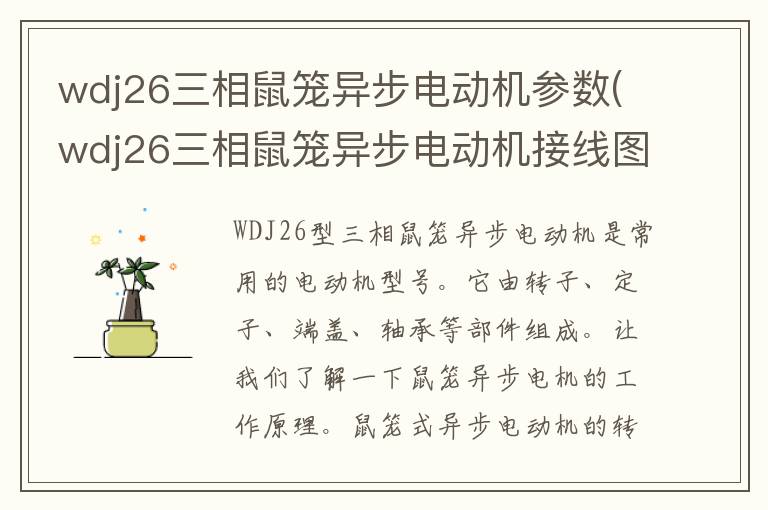 wdj26三相鼠笼异步电动机参数(wdj26三相鼠笼异步电动机接线图)