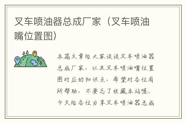 叉车喷油器总成厂家（叉车喷油嘴位置图）