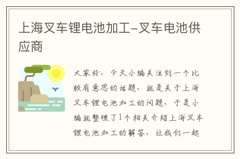 上海叉车锂电池加工-叉车电池供应商