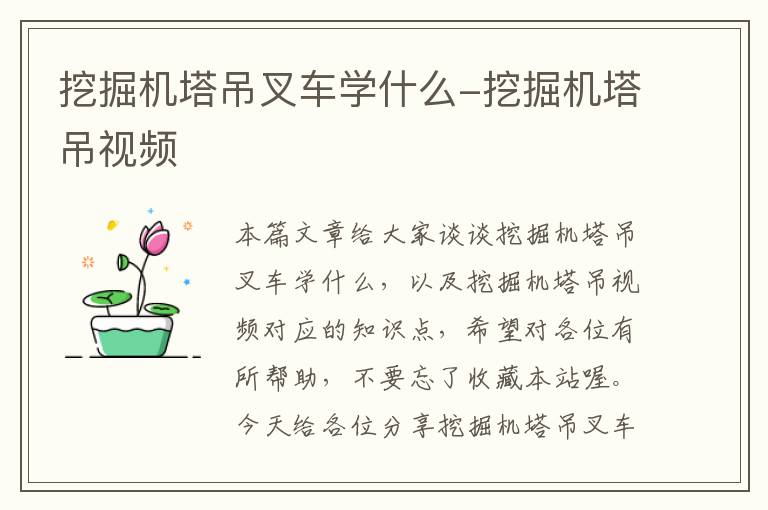 挖掘机塔吊叉车学什么-挖掘机塔吊视频