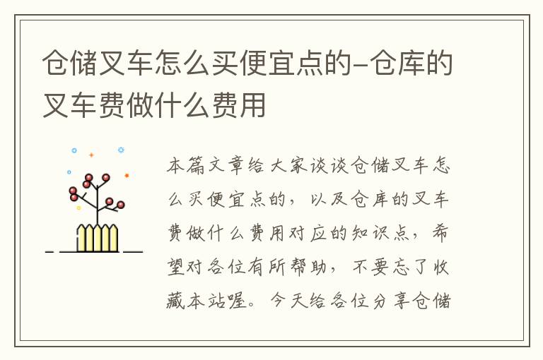 仓储叉车怎么买便宜点的-仓库的叉车费做什么费用