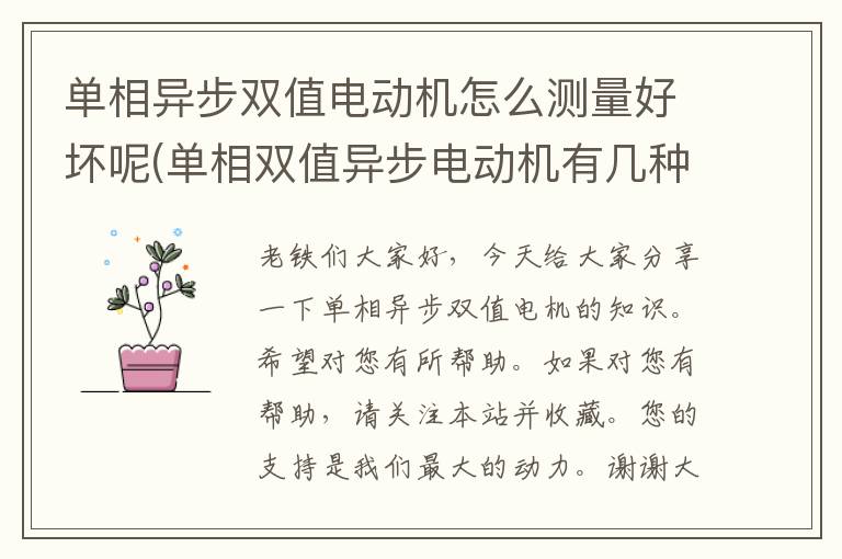 单相异步双值电动机怎么测量好坏呢(单相双值异步电动机有几种接法)