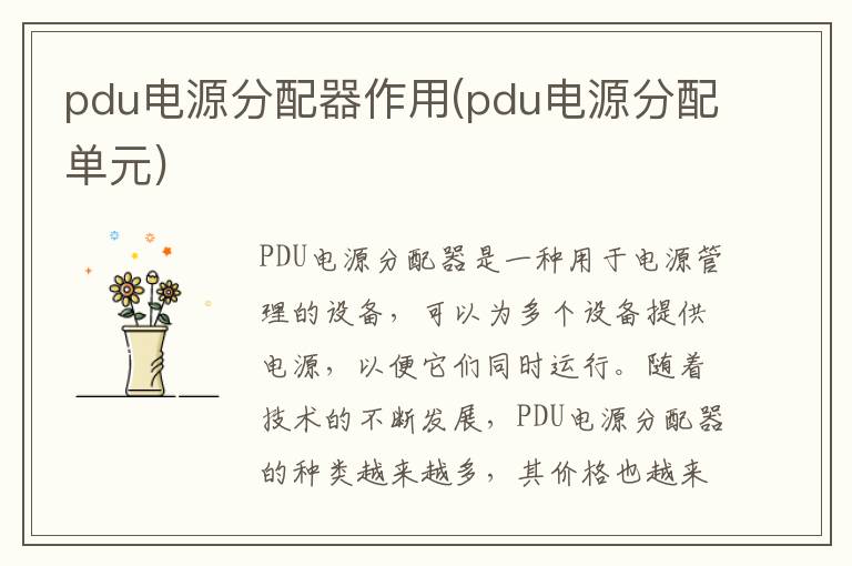 pdu电源分配器作用(pdu电源分配单元)