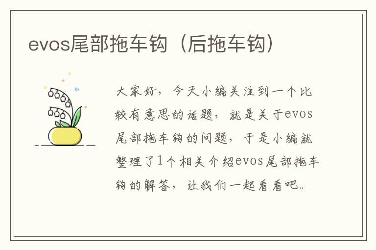 evos尾部拖车钩（后拖车钩）