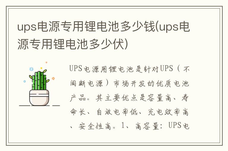 ups电源专用锂电池多少钱(ups电源专用锂电池多少伏)