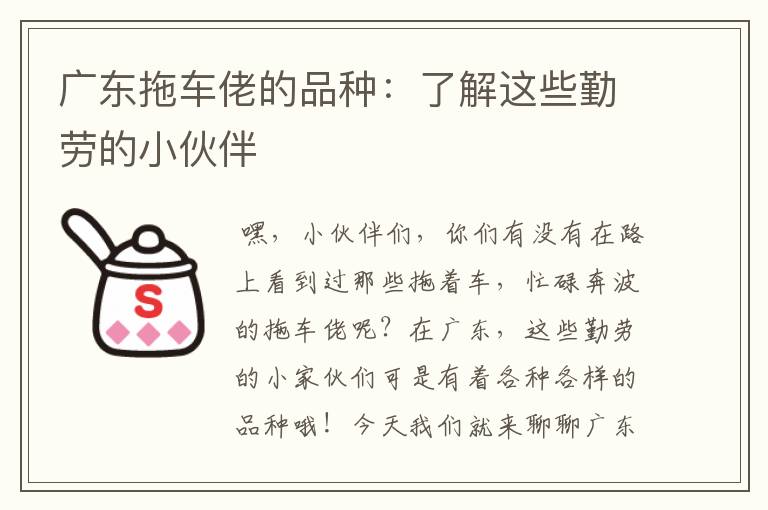 广东拖车佬的品种：了解这些勤劳的小伙伴