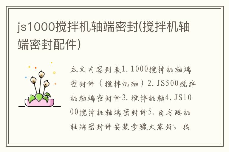 js1000搅拌机轴端密封(搅拌机轴端密封配件)