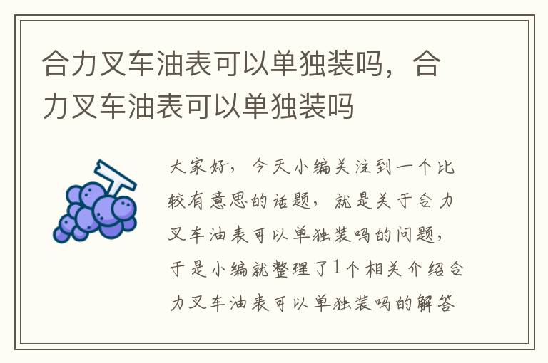 合力叉车油表可以单独装吗，合力叉车油表可以单独装吗